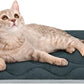 furrybaby Dog Bed Mat Flat Crate Mat with Anti-Slip Bottom Machine Washable Pet Kennel Pad for Dog Sleeping (XS 22x13'', Grey Mat)