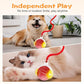 2026 New Interactive Pet Toy Ball, Smart Interactive Toy Ball for Cats & Dogs, Electric Rolling Pet Toy Ball, Rechargeable Interactive Cat Toys for Bored Indoor Cats Kittens to Keep Busy (Green)