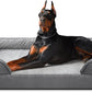 INVENHO Orthopedic Extra Large Dog Bed, XXL Waterproof Dog Sofa, Egg-Crate Foam Couch with Washable Removable Cover, Waterproof Lining and Nonskid Bottom