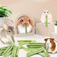 Bissap 50PCS Rabbit Chew Sticks, Natural Papaya Stems Bunny Chews Treats for Rabbits Hamsters Chinchillas Guinea Pigs Small Animals Organic Molar Chewing Snack