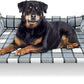 Elevated Raised Dog Bed Cot - Cooling Raised Dog Beds with Bolster Portable Washable Pet Cot Bed with Metal Frame Dogs Hammock Bed for Indoor & Outdoor