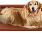 RRPETHOME Large Elevated Cooling Dog Bed, Raised Dog Cot Beds for Large Dogs, Elevated Outdoor Pet Cot, Chew Proof Portable Cooling Pet Cot with Skid-Resistant Feet and Breathable Mesh