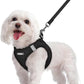 rabbitgoo Dog Harness Small Sized and Leash Set, Step in Soft Light Puppy Vest, Breathable Mesh Pet Harness, Reflective for Safe Easy Walking, Black M