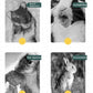 Rabbit Toys 30Pcs 3 Flavours for Teeth Grinding - Chew Toys for Hamsters, Guinea Pigs, Chinchillas