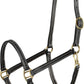 HORZE Fremont Soft Synthetic Leather Horse Halter | Fully Adjustable with Brass Hardware & Contrast Stitching - Black - Horse