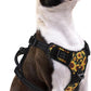 PUPTECK No Pull Dog Harness Small Sized, Adjustable Reflective Dog Harness with Handle Easy Control, Comfortable Soft Padded Pet Vest Harness for Small Dogs, Sunflower S
