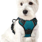 rabbitgoo Dog Harness No Pull with 2 Leash Clips, Adjustable Soft Padded, Reflective Oxford No Choke Pet Vest with Easy Control Handle for Puppy, Blue Coral, XS