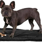 K9 Ballistics Tough Ripstop Dog Crate Pad - Durable & Machine Washable with Non-Skid Bottom and 120-Day Warranty, Fits 30" Wire Crates - Small, Obsidian Black