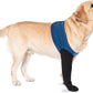 COODEO Dog Socks to Prevent Licking Paws, Healing Boots & Paw Protectors with Non-Slip Bottoms for Wound Protection, Waterproof Sleeve Shoes for Licking（Blue，M_Right
