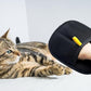 Pet Hair Removal Glove for Cats & Dogs, Upgrade Efficient Grooming Gloves for Pet Hair, Electrostatic Pet Hair Remover for Hair Removal, Reusable Pet Hair Remover Glove (2pcs)