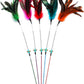 Cat Wand Toy Feather Sticks - 5 Piece Interactive Wands Toy Set with Feathers, Durable Spring Design - Perfect for Engaging Playtime Fun for Kittens and Cats - Cat Toys for Indoor Cats