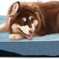 Laifug Orthopedic Memory Foam Dog Bed with Durable Water Proof Liner and Removable Washable Cover (Large (46"x28"x8"), Denim Blue)