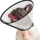 Supet Adjustable Dog Cone Collar for Licking Prevention - Elizabethan Collar for Medium, Small, Large Dogs - Comfortable Pet Recovery After Surgery - Plastic Head Neck Cone of Shame