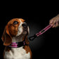 PLUTUS PET 10 Inch Short Dog Leash for Large Dogs with Locking Carabiner Clip & Padded Handle （10”, Pink）