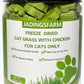 Cat Grass for Indoor Cat, 4.5 oz Cat Grass Teething Sticks, Natural Cat Dental Care Treat, Edible Snack for Teeth Cleaning and Hairball Removal