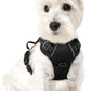 rabbitgoo Dog Harness No Pull with 2 Leash Clips, Adjustable Soft Padded, Reflective Oxford No Choke Pet Vest with Easy Control Handle for Puppy, Black, XS