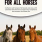 Horse Paste 1.87% – Apple Flavored Wormer – 6.08g Tube – Treats Up to 1250 lb (4 Pack)