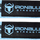 Lifting Wrist Straps for Weightlifting (1 Pair) – Padded Lifting Straps for Deadlifts, Powerlifting, Strength Training & Bodybuilding – Gym Straps for Men & Women