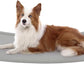 Veehoo Elevated Dog Bed for Outdoor, Cooling Waterproof Raised Dog Cots Beds for Medium Dogs, Curved Off Ground Pet Hammock Cot Lifted for Outside, up to 65lbs, White Legs, Grey 32"