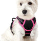 rabbitgoo Dog Harness No Pull with 2 Leash Clips, Adjustable Soft Padded, Reflective Oxford No Choke Pet Vest with Easy Control Handle for Large Dogs, Black & Hot Pink, XS