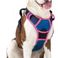 rabbitgoo Dog Harness No Pull with 2 Leash Clips, Adjustable Soft Padded, Reflective Oxford No Choke Pet Vest with Easy Control Handle for Large Dogs, Blue & Hot Pink, L
