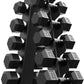 PAPABABE Hex Dumbbell Sets with Rack, 60-550lb Rubber Coated Dumbbell Weight Set and Storage Rack, Multiple Options Hand Weights for Strength Training