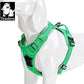 TRUE LOVE Adjustable No-Pull Dog Harness Reflective Pup Vest Harnesses Comfortable Control Brilliant Colors Truelove TLH5651(Grass Green,S)