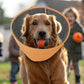 Inspack Soft Dog Cone Collar Alternative, E Cones for Small Dogs/Cat/Puppy to Stop Licking after Surgery, Comfortable All Paws Comfy Elizabethan Collars, Neuter Recovery Ecollars of Shame Alternatives