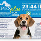 Apex Plus Flea and Tick Prevention for Dogs | Medium (23-44 lbs) | 6-Month Supply | Dog Flea and Tick Treatment | 24-Hour Activation, Waterproof, 30-Day Protection