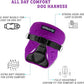 Comfort Fit Dog Harness No Pull with Adjustable Buckles Soft Padded Reflective Choke Step-in Pet Vest with Easy Control Handle for Small Medium Large Dogs & Puppies for Walking Running Training