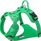 TRUE LOVE Dog Harness No Pull Nylon Reflective Pet Harness Adjustable Comfortable Control Step-in Brilliant Colors Truelove TLH56512 Grass Green