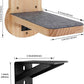 ESPETS Natural Solid Wood Cat Wall Floating Steps Set of 3 - Wall Mounted Wooden Cat Climbing Shelves and Perches, Kittty Stairs Ladder - Easy Install, Holds up 30lbs