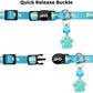 Personalized Breakaway Cat Collars Glow-in-The-Dark with ID Tag, Bell - Safety Quick - Release, Customizable for Female Male Kittens & Cats (Blue)