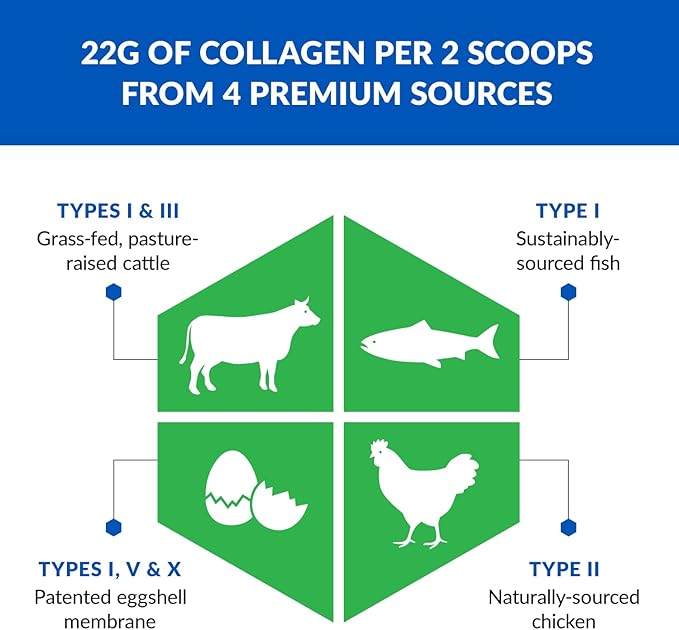 BioTrust Ageless Multi Collagen Peptides Powder – 5 Types (I, II, III, V, X) – Vanilla Collagen Powder for Women & Men – Hydrolyzed Protein – Grass Fed Beef, Fish, Chicken, Eggshell Membrane