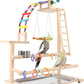 Bird Playground, Perch Stand Parrot Playstand Play Gym with 2 Perches Stand Windmill Toys, Playpen for Parakeet Conure Cockatiel Lovebird Budgie Caique, Exercise Playgym with feeding Cups