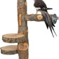 YKD Chinchilla Large Hanging Wooden Rotating Platform - Small Animals Natural Fruit Wood Standing Platform - Squirrel Suger Glider Platform - Bird Perch Platform