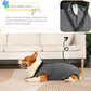Dog Surgery Recovery Suit,Abdominal Surgical Suit for Dogs,Recovery Suit for Dogs,Prevent Licking Surgical Wound Dog Cone Alternative Grey M