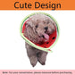 Soft Dog Cone Collar for Dogs After Surgery, Adjustable Dog Recovery Cone Collar for Medium Small Puppy Dogs and Cats to Stop Licking (Watermelon XL)