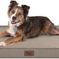 Orthopedic Dog Bed for Large Dogs, Waterproof Dog Bed Washable Pet Bed for Large Sized Dogs with Egg Crate Foam Pet Mat, Removable Oxford Cover, Khaki