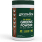 Greens First Original Greens Powder - 49 Superfoods - Organic Fruits & Veggies - Prebiotics, Probiotics & Digestive Enzymes - Antioxidant Smoothie - Dairy Free, Vegan, Non-GMO (Chocolate, 30 Servings)