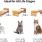 FUKUMARU Elevated Cat Ceramic Bowls, Small Dog 15° Tilted Raised Food Feeding Dishes, Solid Bamboo Water Stand Feeder Set for Cats and Puppy