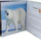 Menique Wild Animals Memory Matching Game – Spanish Edition – 80 Cards (40 Pairs) with Real Photos – Educational Game in Spanish for Kids and Adults – Includes Booklet