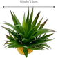 Smoothedo-Pets Reptile Artificial Plants Succulent Terrarium Decorative Desert Rainforest Plant Lizard Beard Chameleon Gecko Snake Amphibious Sea Turtle Tank Accessory (Agave-Set)