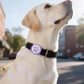 IP68 Waterpoof Dog Airtag Holder, Stretchy Silicone Full Body Covered Apple Air Tag Holder for Dog Cat Collar Fit All Width Collar (Purple, 1 Pack)