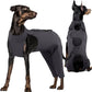 Kuoser Dog Surgery Recovery Suit, Thigh Wound Protective Sleeve for Dogs, Dog Recovery Sleeve for Female Male Dogs, Pet Surgical Suit for Spay Neuter, Dog Onesie After Surgery, Gray L