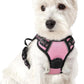 rabbitgoo Dog Harness No Pull with 2 Leash Clips, Adjustable Soft Padded, Reflective Oxford No Choke Pet Vest with Easy Control Handle for Puppy, Pink, XS