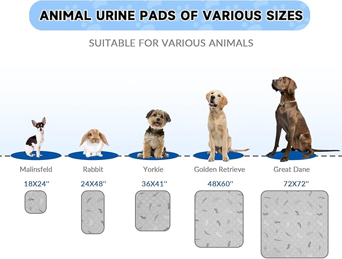 Sunheir Washable Pee Pads for Dogs 2-Pack Reusable Puppy Pads Pet Training Pads, Waterproof Dog Pee Pads for Crate, Whelping Pad, Non-Slip Protects Against Urine Leakage (Leaves - Sky Blue, 24x36)