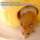 Cozy Cake Hamster House - Soft Plush Hideout & Tunnel Bed for Guinea Pigs, Syrian Hamsters, and Small Animals - Adorable, Warm & Washable Hideaway for All Seasons, Perfect Cage Accessory