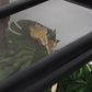 Reptile Plants for Terrarium, Amphibian Habitat Decor Artificial Hanging Plants with Suction Cup - Fake Monstera