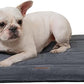 Made4Pets Dog Crate Pad Bed for Small Dogs, Washable & Reversible, Anti-Slip Kennel Mat for Cozy Sleeping, Soft Fluffy Dog Bed for Indoor & Outdoor Use, 24"x18", Dark Gray